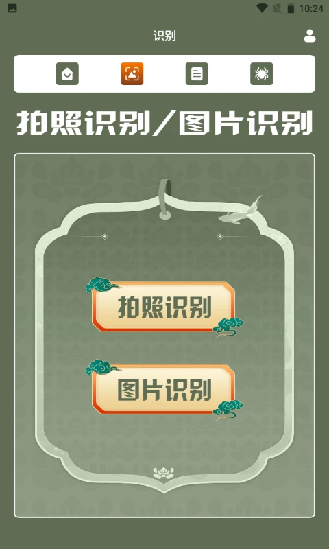 蜘蛛大玩家百科
