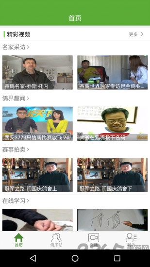 赛鸽世界