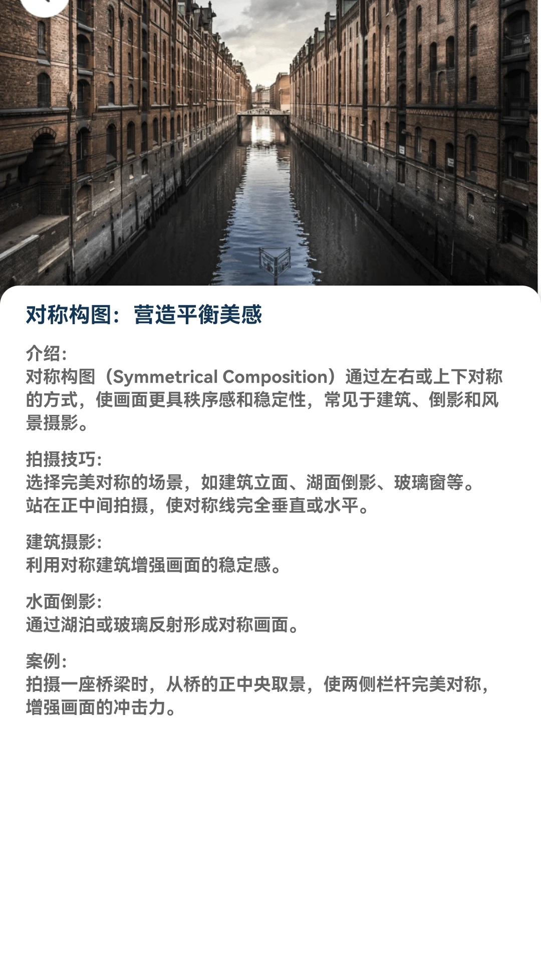 繁花乐看
