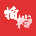 大学生拍档