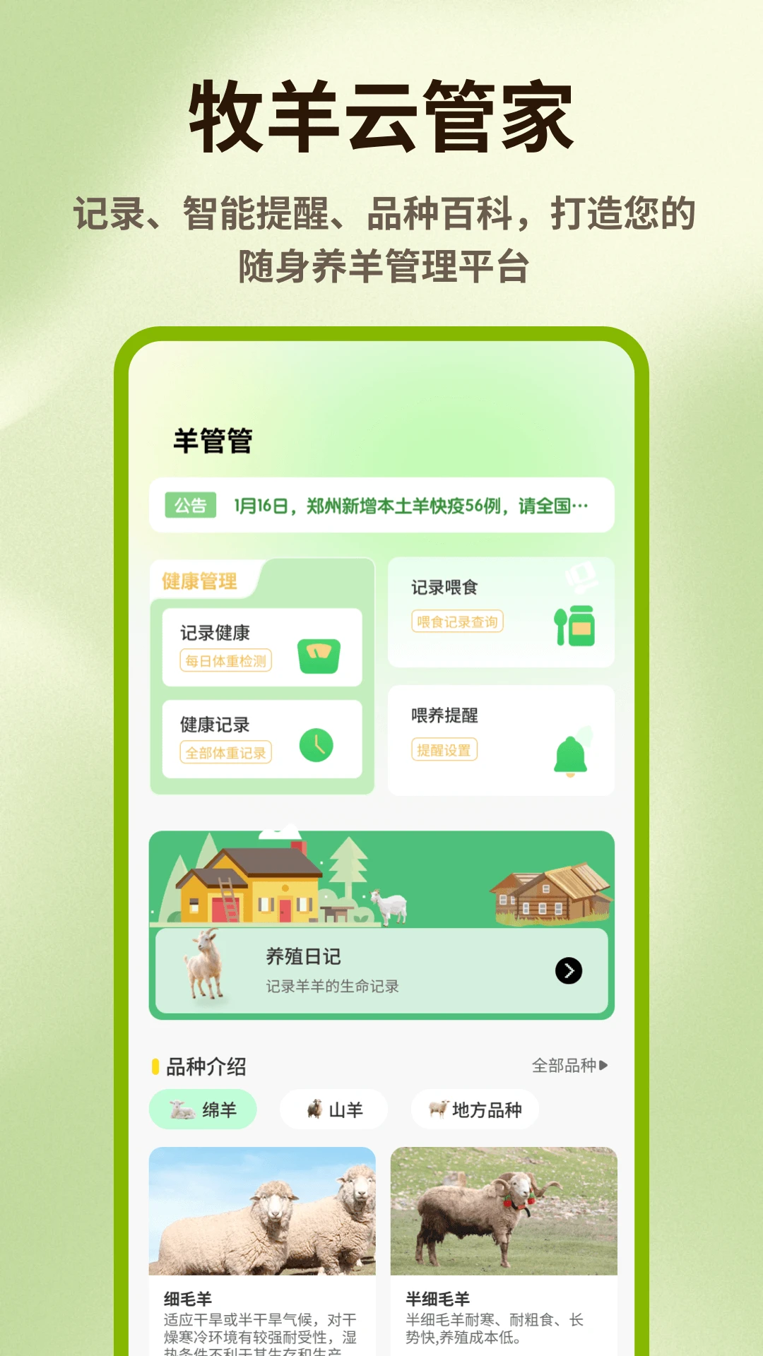 跑了只羊