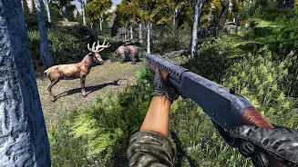 野鹿狩猎射击(DeerHunting) 野鹿狩猎射击(DeerHunting)