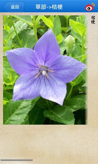 本草纲目-图文版 本草纲目-图文版