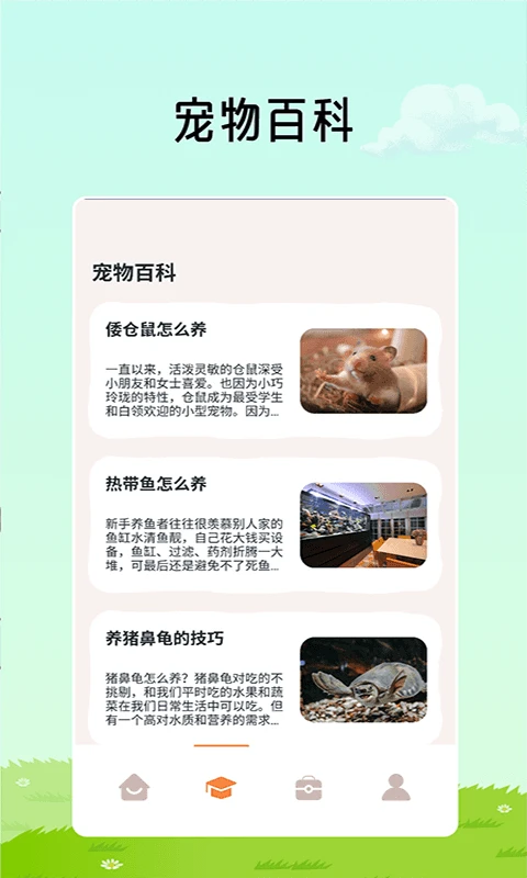 猫咪解压翻译馆