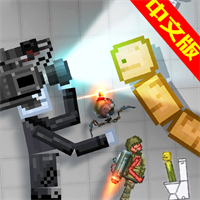 游乐园模拟器