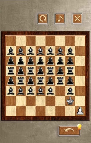 国际象棋大师11 国际象棋大师11