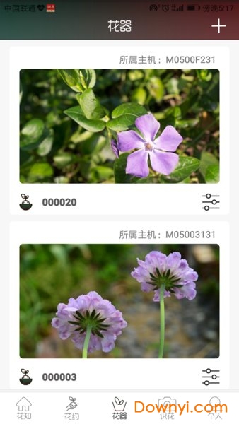 花一派