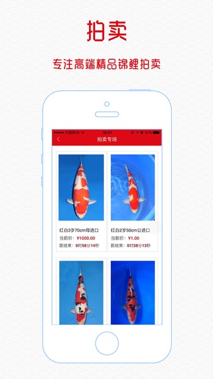 鱼趣 - 中锦俱乐部
