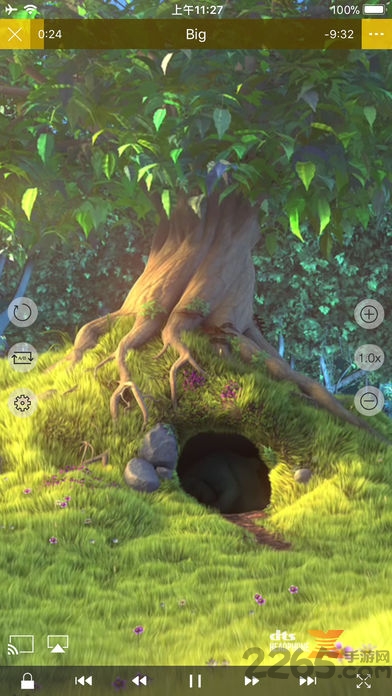 nplayer手机版