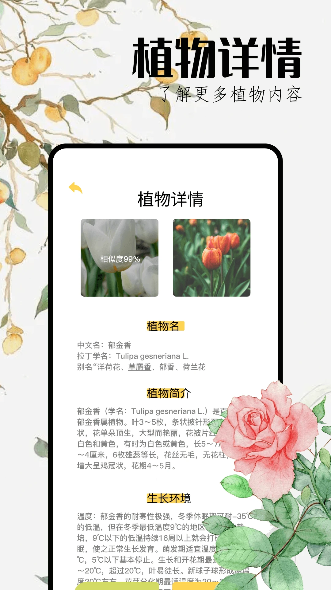 花草妙识