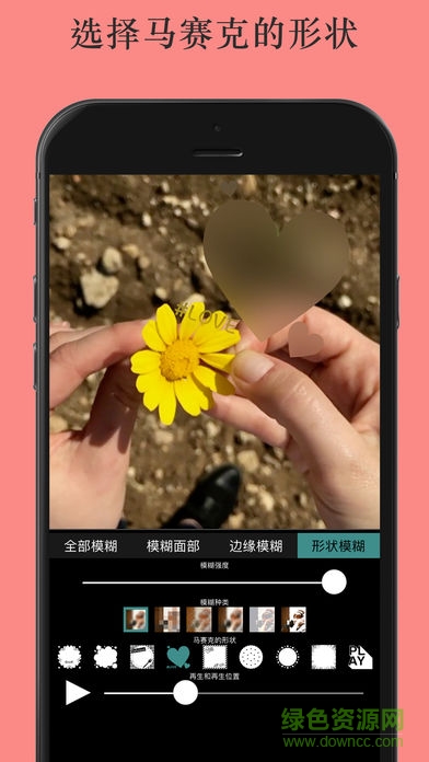 视频马赛克