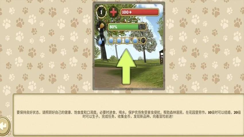 小猫旅途：森林家园