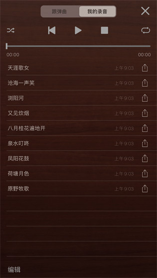 iGuzheng专业版ios版