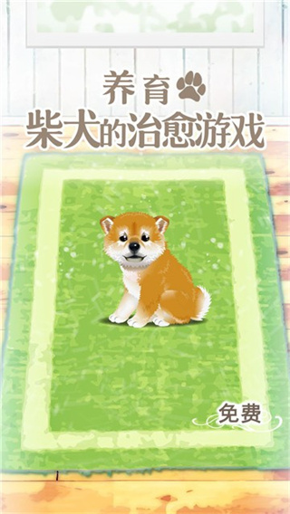 柴犬育成