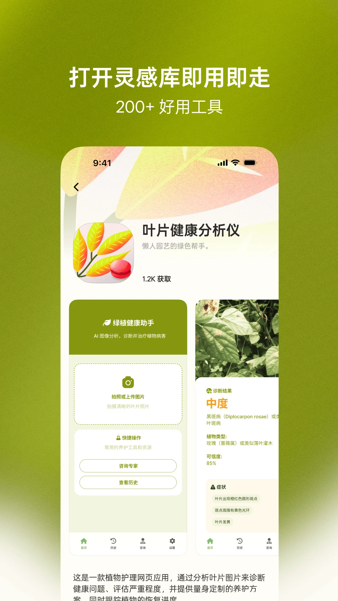 马卡龙 马卡龙