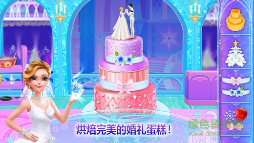 冰雪公主：婚礼日