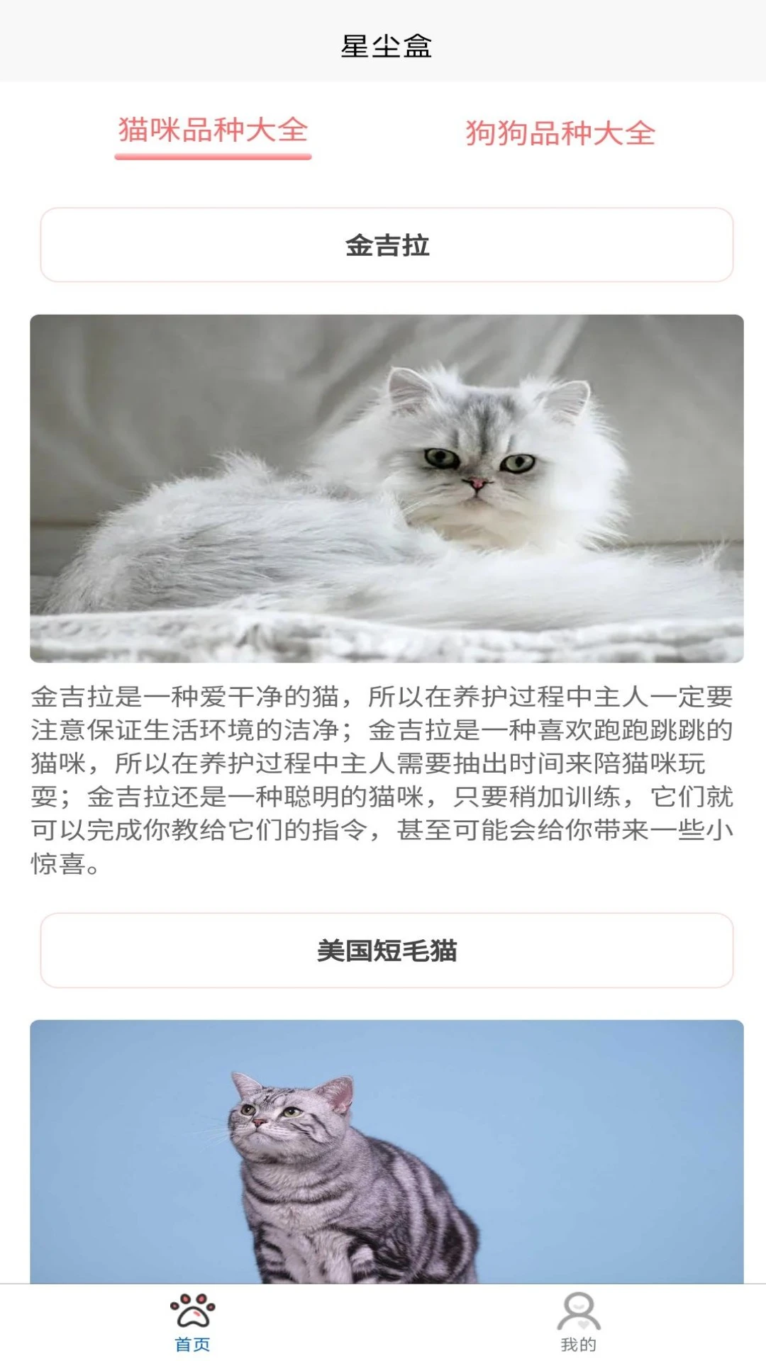 星尘盒