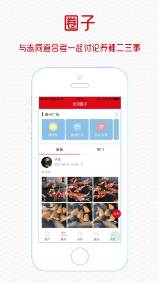 鱼趣 - 中锦俱乐部