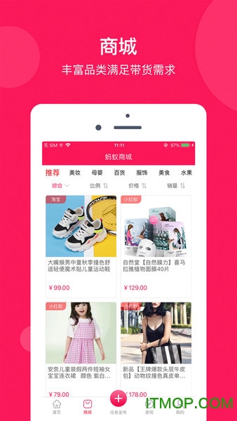 小红蚁