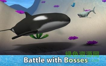 小格解说鲨鱼生存模拟器(Shark Simulator)