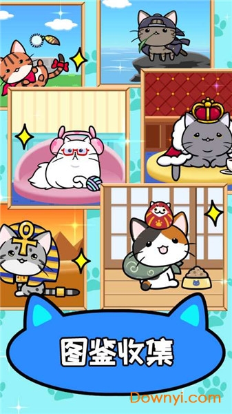 猫咪公寓