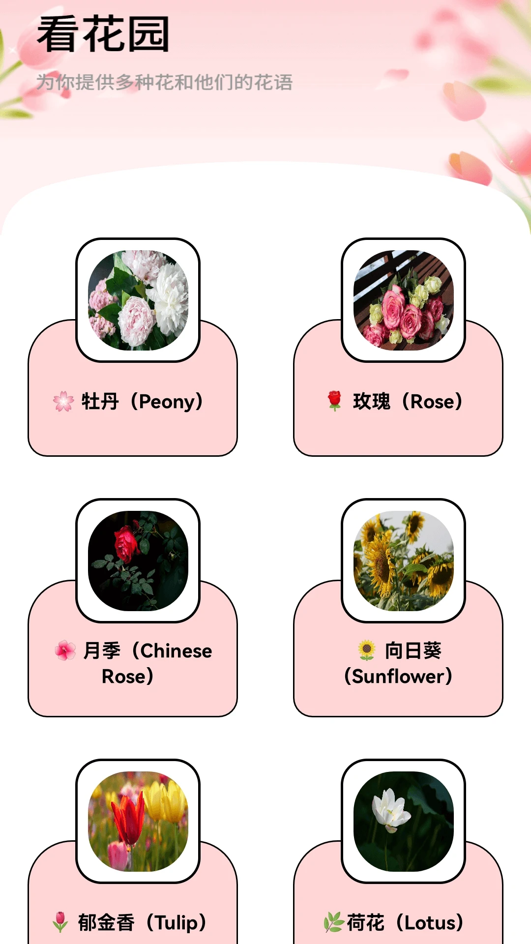 月光短剧