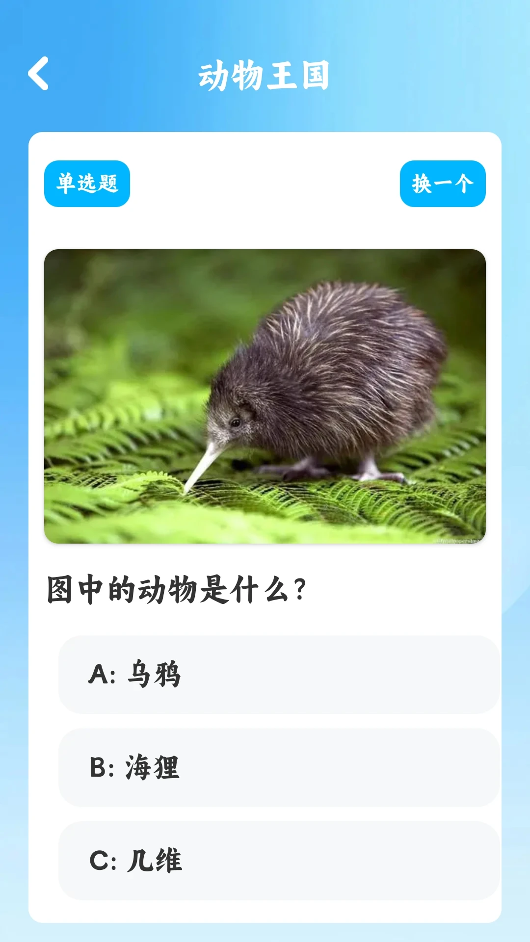 你听过没