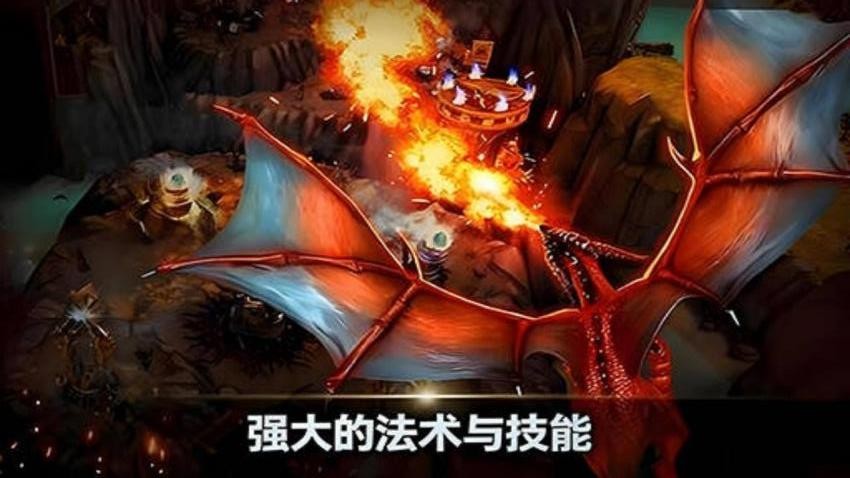 龙王作战