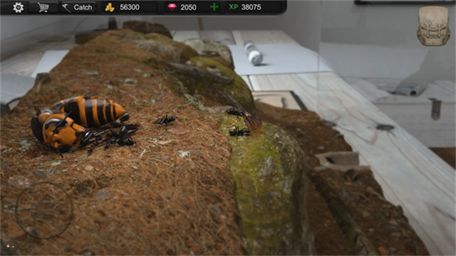 Ant Sim Tycoon安装器