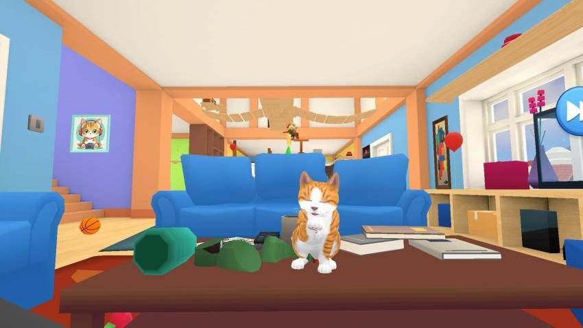小猫爱球球 小猫爱球球