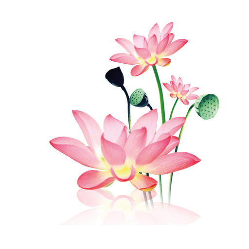 水墨工具箱 1.1.8