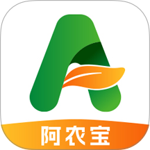 阿农宝