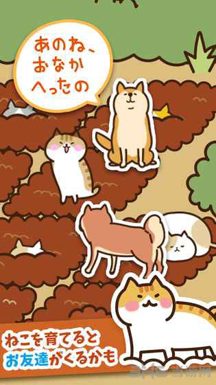 猫咪田园 安卓版v2.5.1