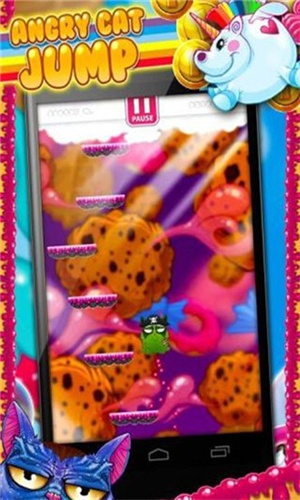 愤怒的猫 愤怒的猫