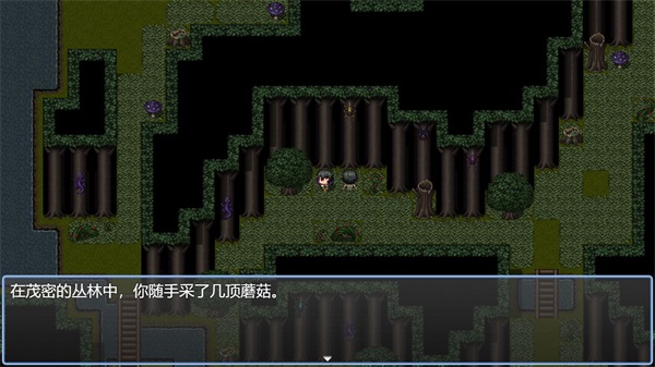 年轮 安卓版v1.7.5