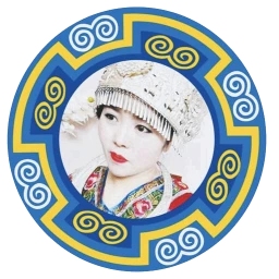 苗太后众联系统
