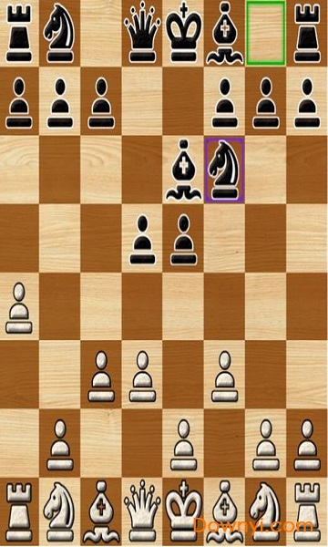 国际象棋大师 国际象棋大师