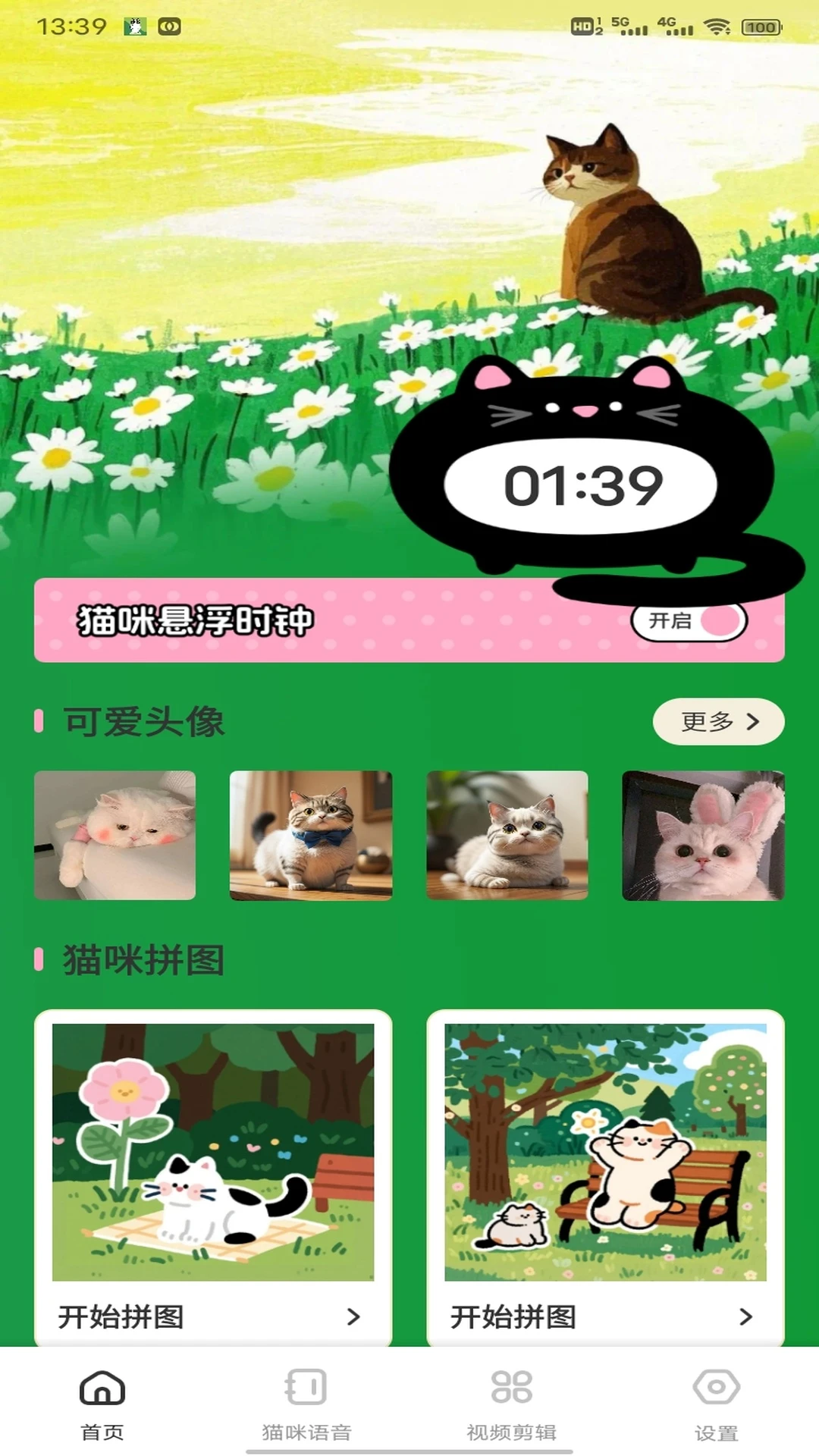 治愈猫咪