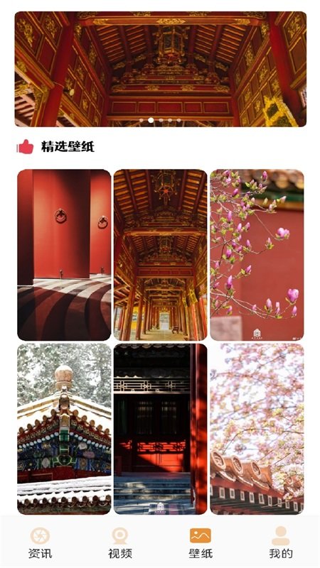 紫禁城之星 紫禁城之星