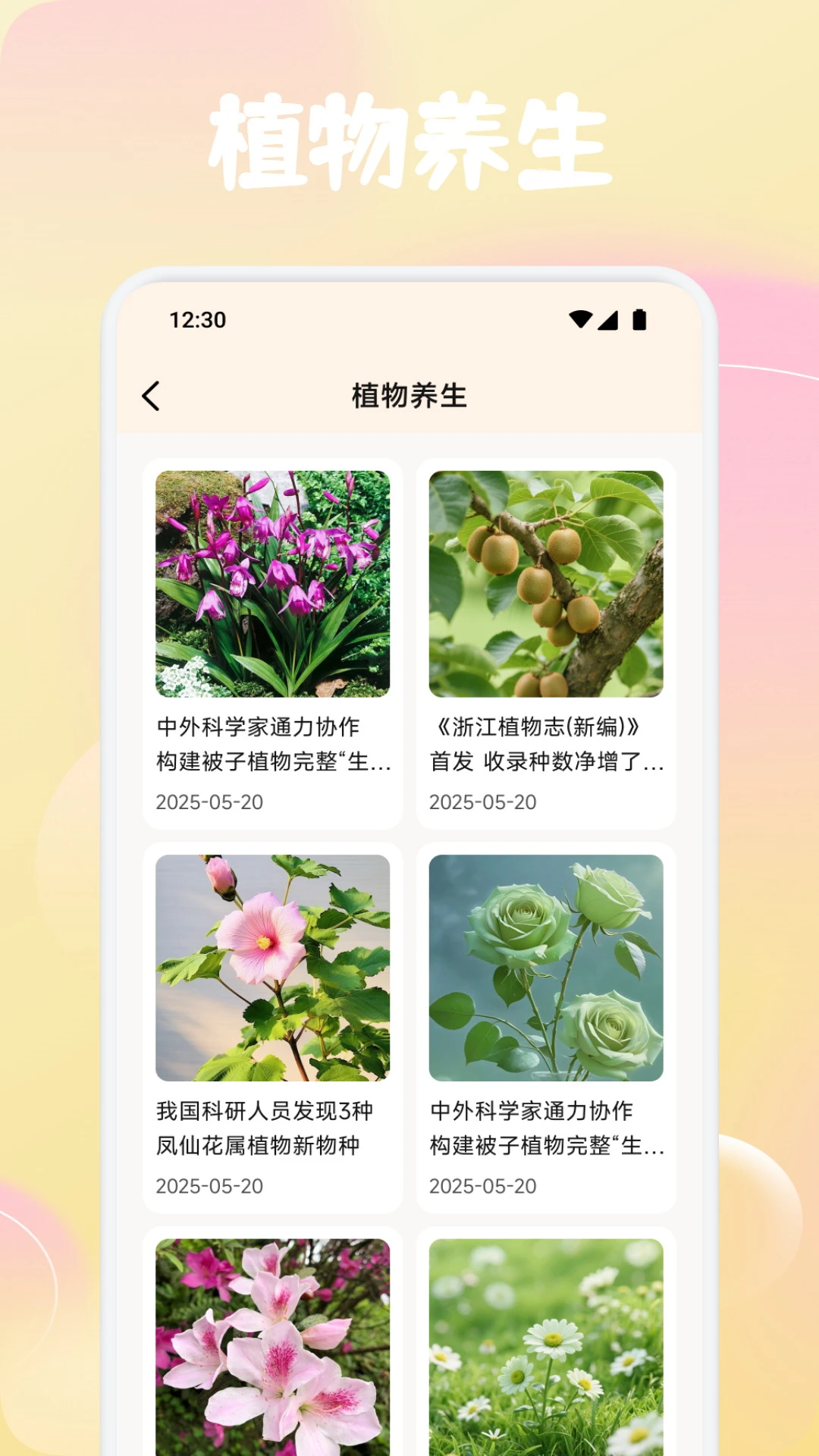 橘小花