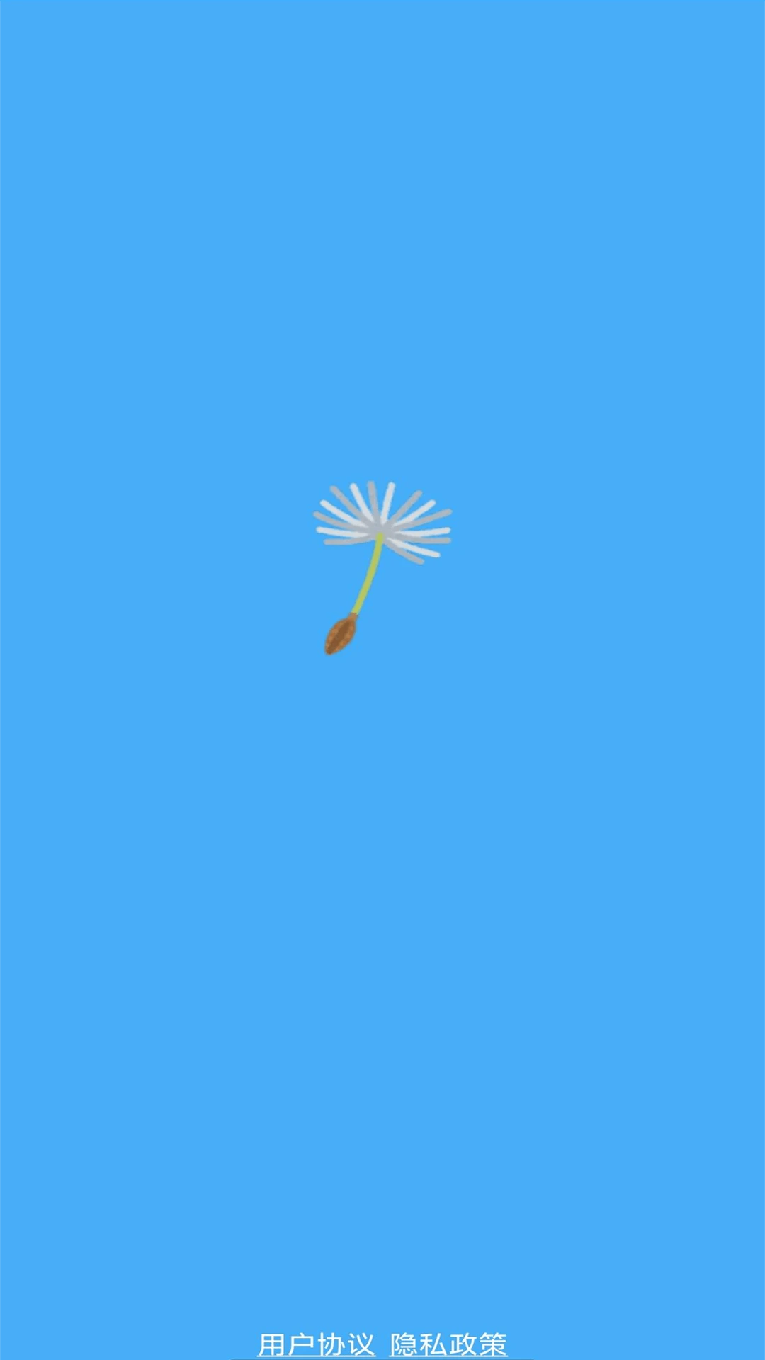 蒲公英冒险