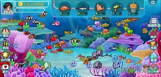 疯狂水族馆 疯狂水族馆