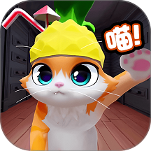 猫猫大乱斗