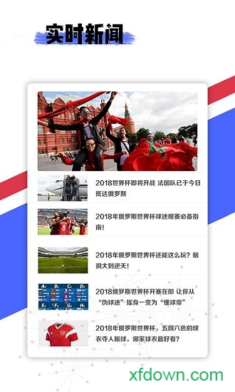 球果