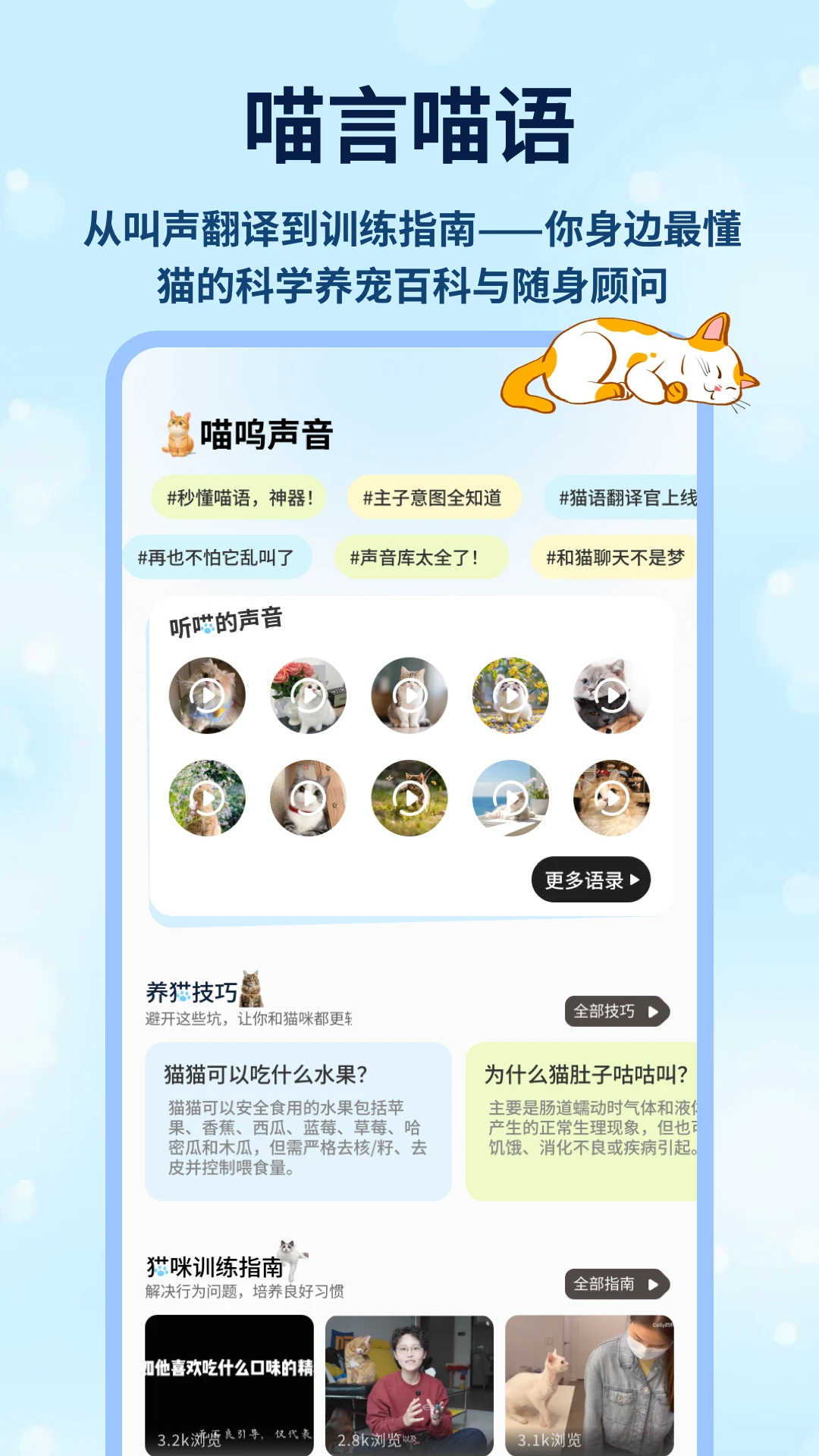 治愈猫咪破解版