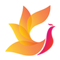 影视工场tv电视版 最新版v1.0.1