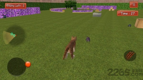 疯狂的猫与老鼠 疯狂的猫与老鼠