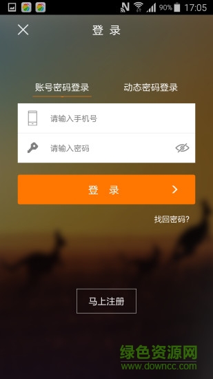 安心保险