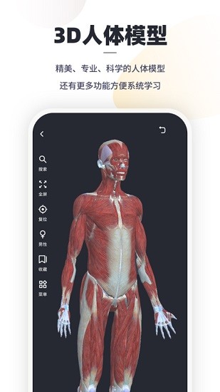 口袋解剖