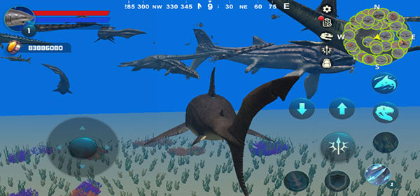 Megalodon Simulator安装器 Megalodon Simulator安装器